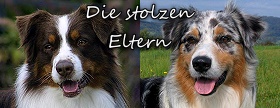 D-Wurf Eltern