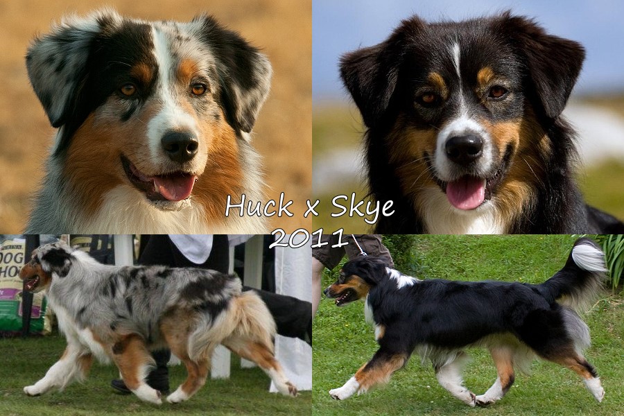 Huck x Skye 2011