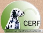 Canine Eye Registration Foundation