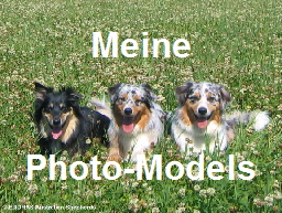 schne Motive, schne Hintergrnde