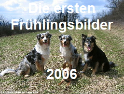 Frhling 2006