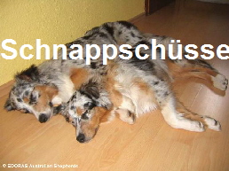 lustige Aufnahmen von meiner Rasselbande