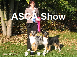 ASCA Conformation Show in Knigswinter Oktober 2007