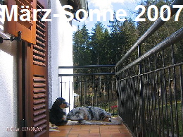 Die ersten Sonnenstrahlen im neuen Haus