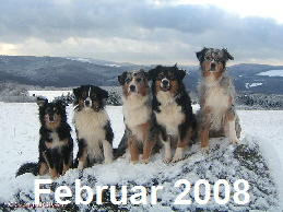 Februar 2008 - endlich mal wieder Schnee!!!
