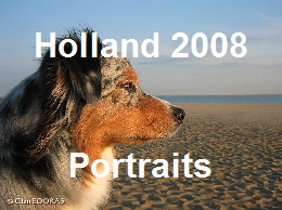 Portraits der Clan Edoras Aussies in Holland am Meer - April 2008