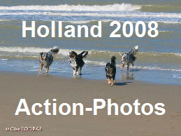 Photos von unserem Urlaub in Holland am Meer - April 2008