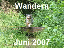 Herrliche Wanderwege im nrdlichen Saarland