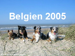 Urlaub an der belgischen Kste April 2005