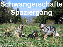 Schwangerschafts-Spaziergang mit Angel