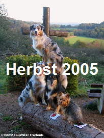 Herbstphotos von Oktober 2005