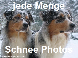 jede Menge Schneephotos